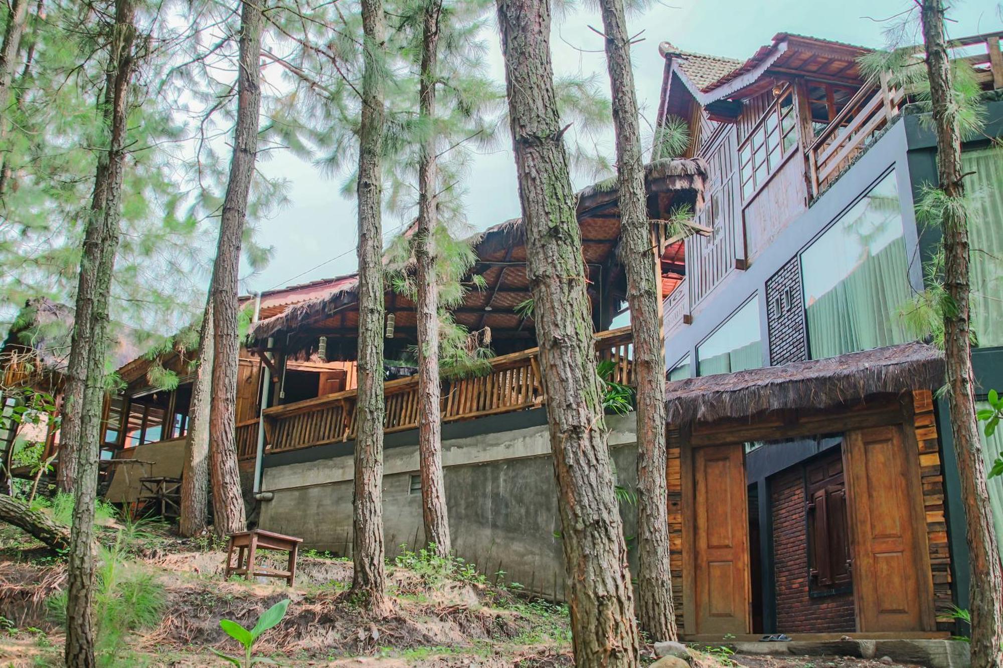 Вилла Omah Kayu Bromo Ngadisari Экстерьер фото
